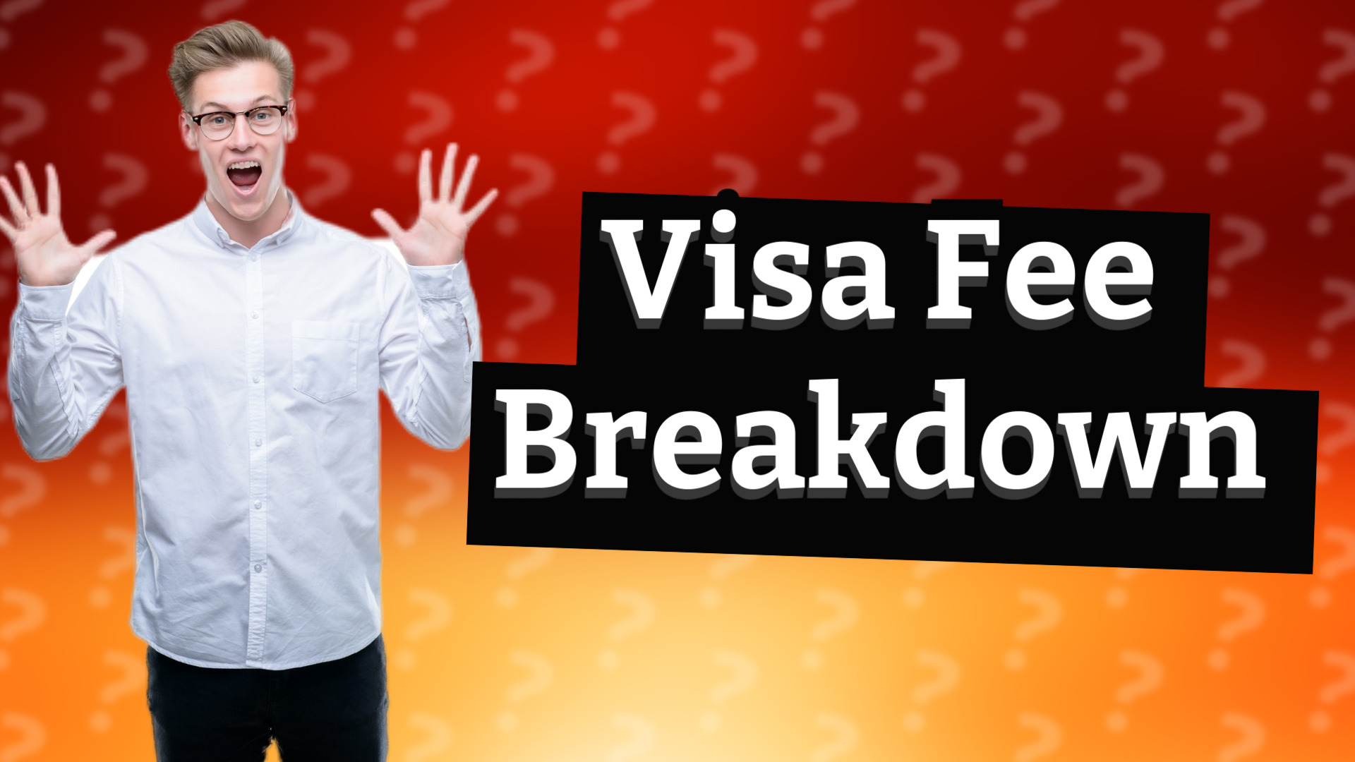Visa Fee Breakdown