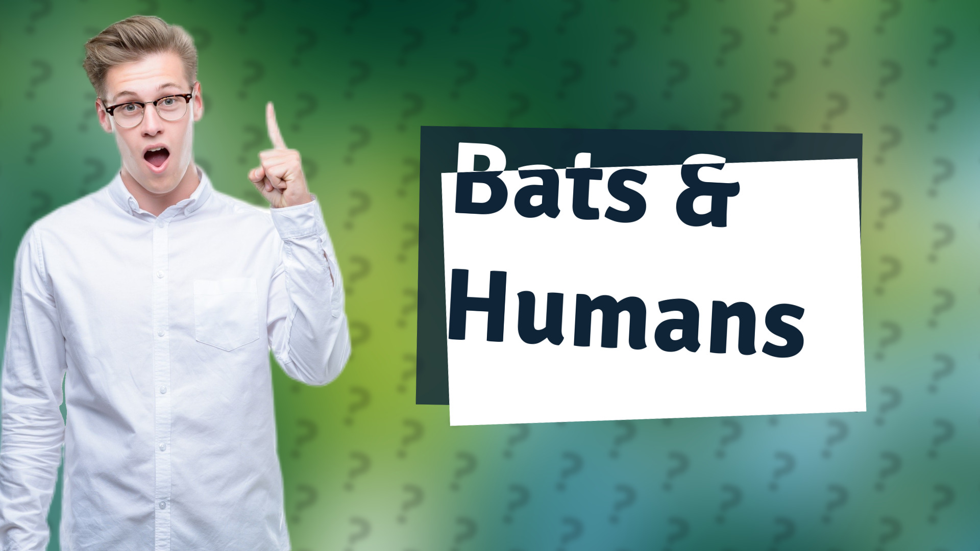 Bats & Humans