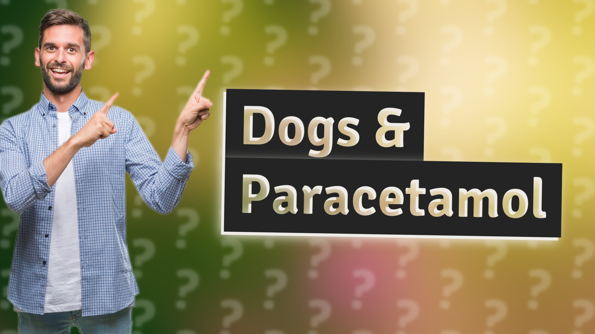 Dogs & Paracetamol