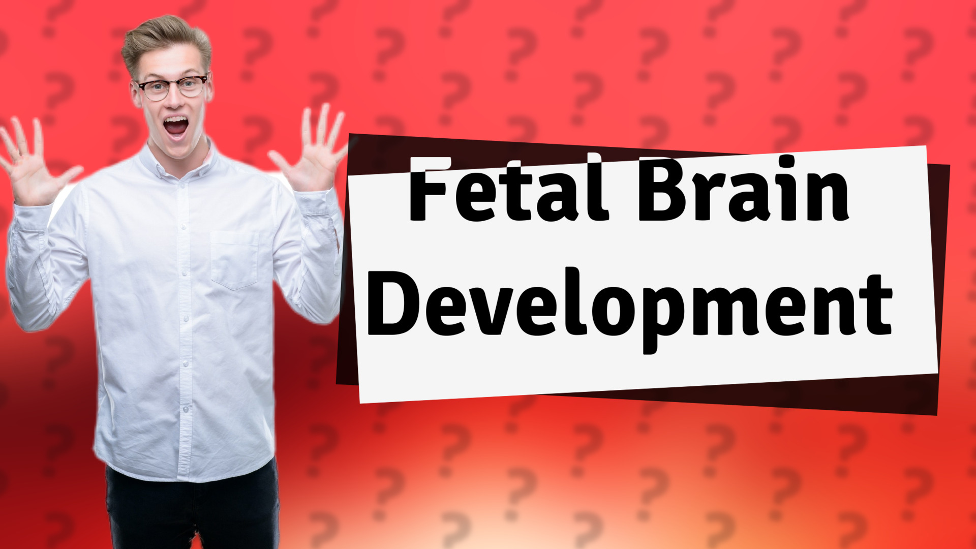 Fetal Brain Development