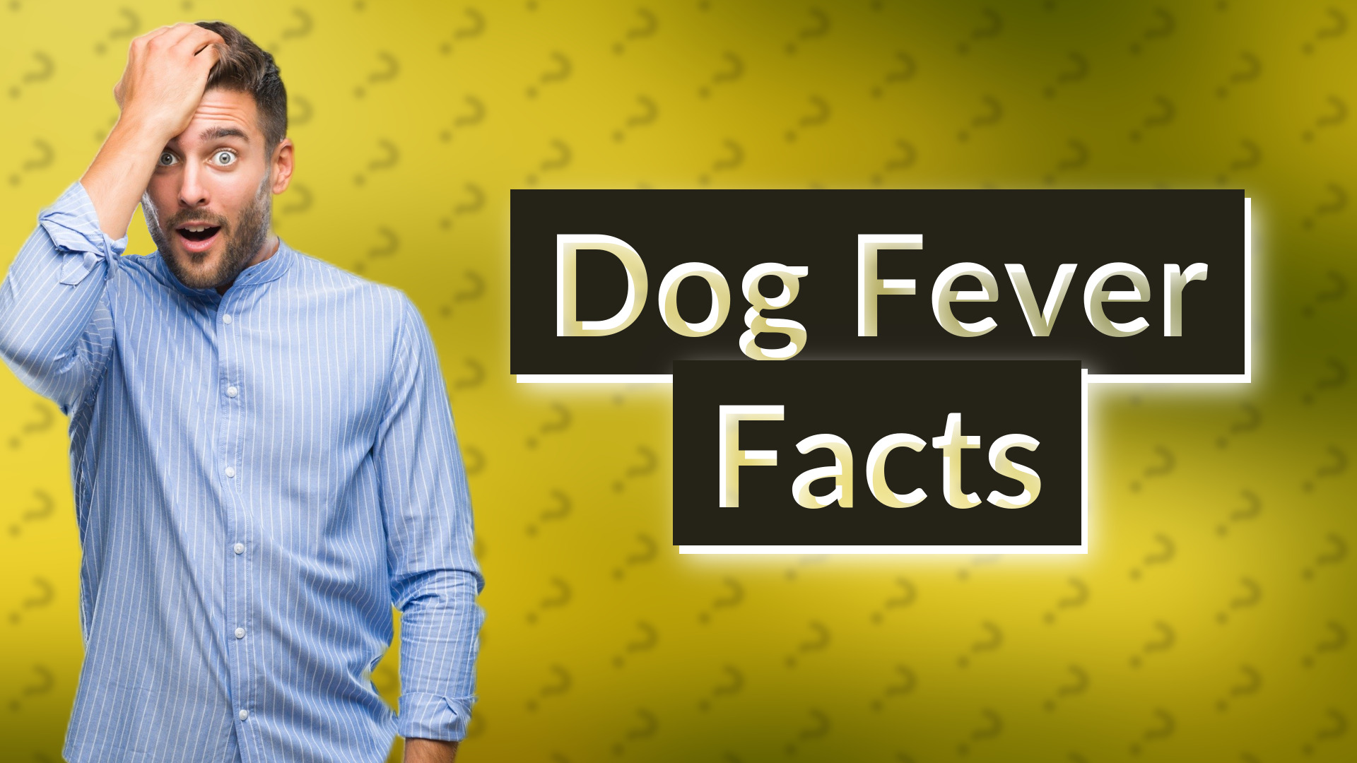 Dog Fever Facts
