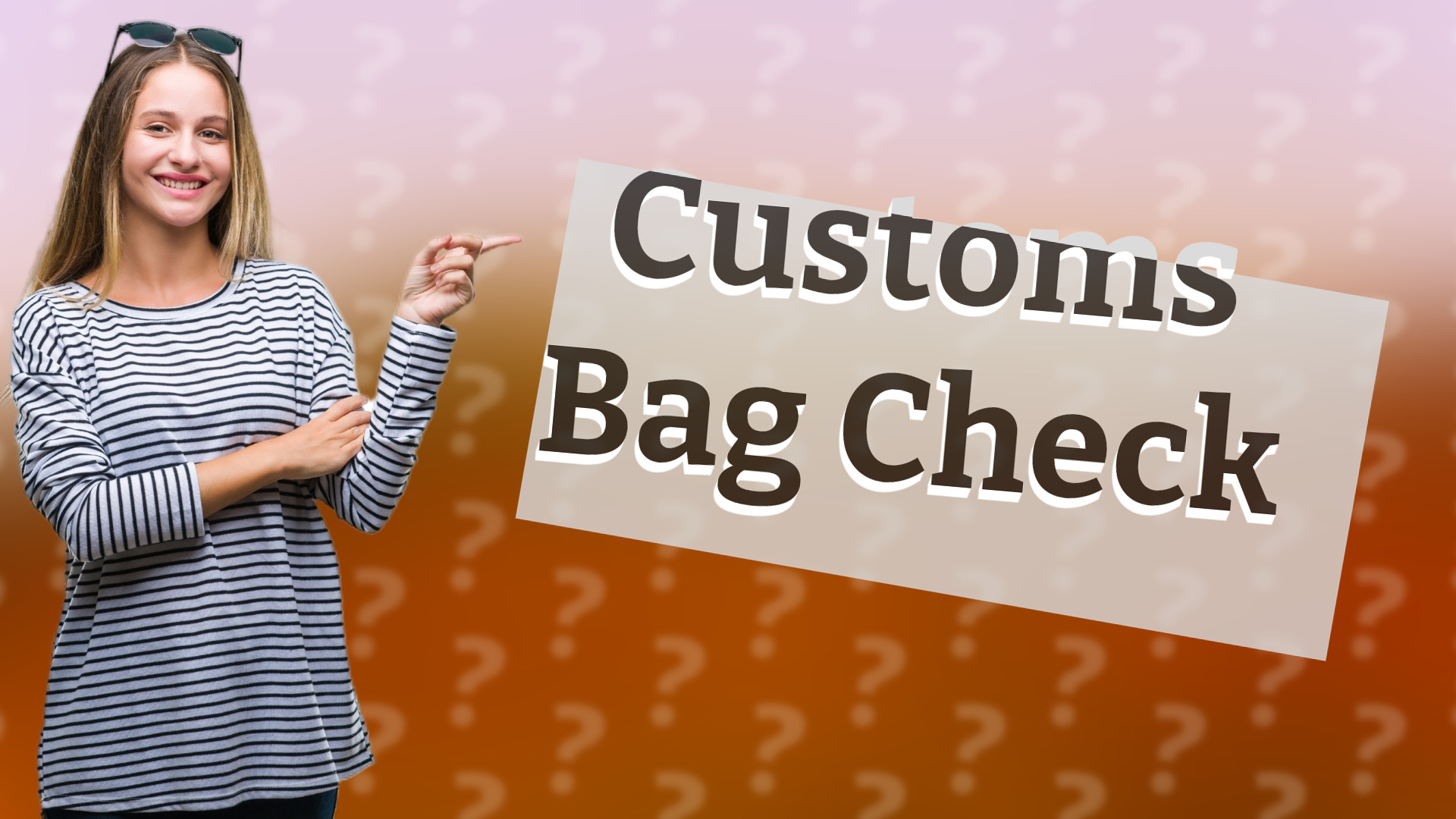 Customs Bag Check