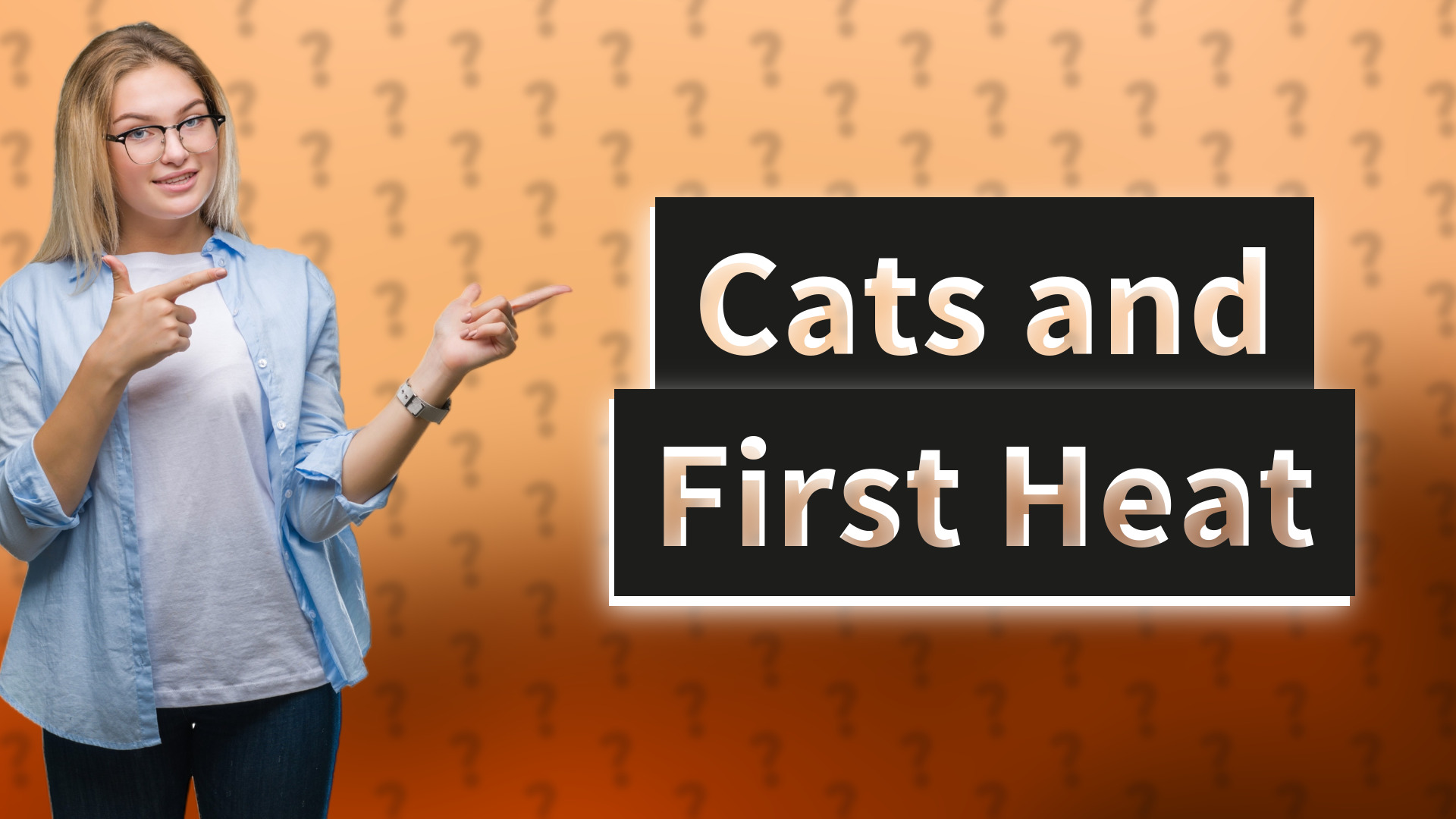 Cats and First Heat