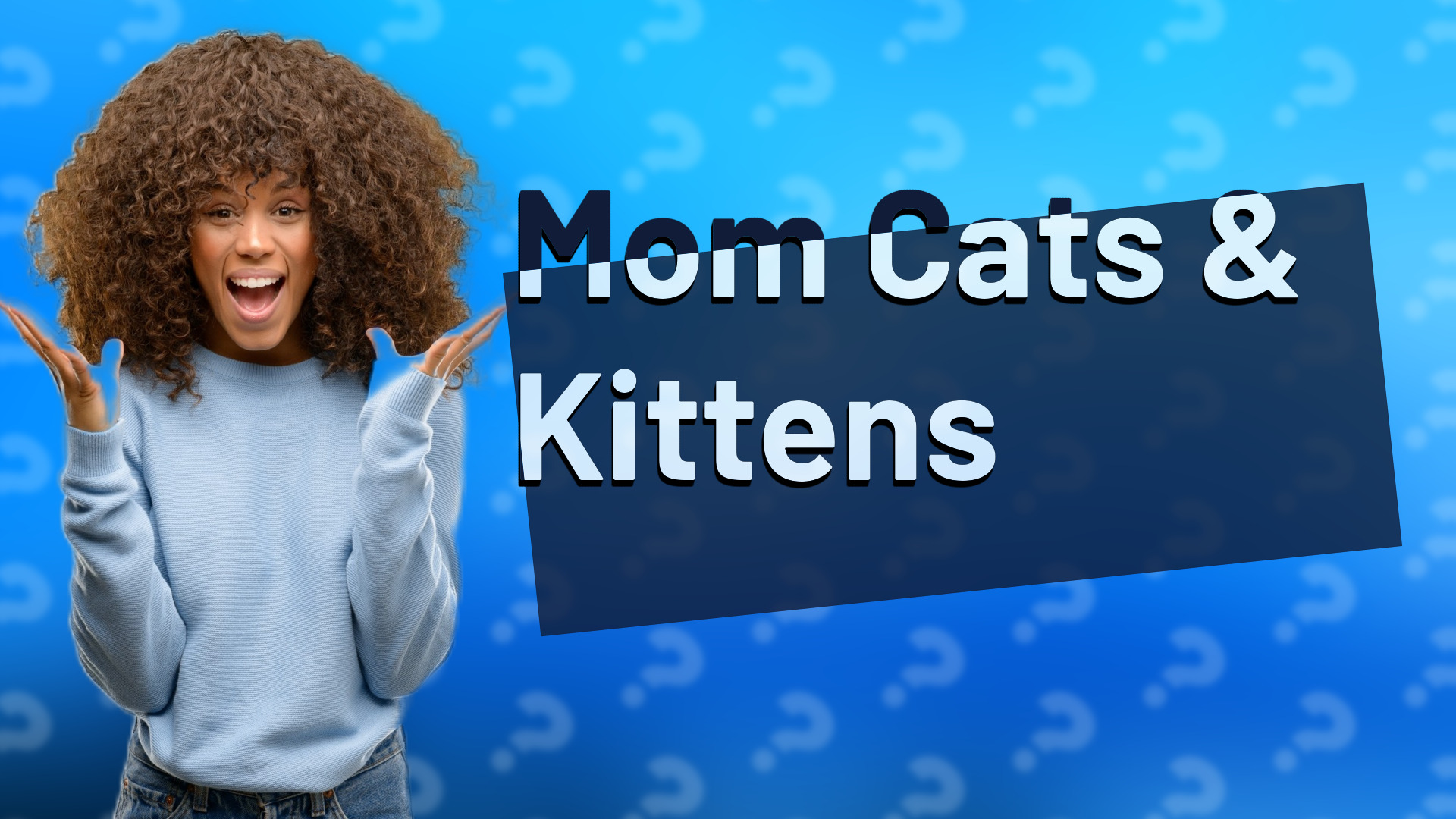 Mom Cats & Kittens