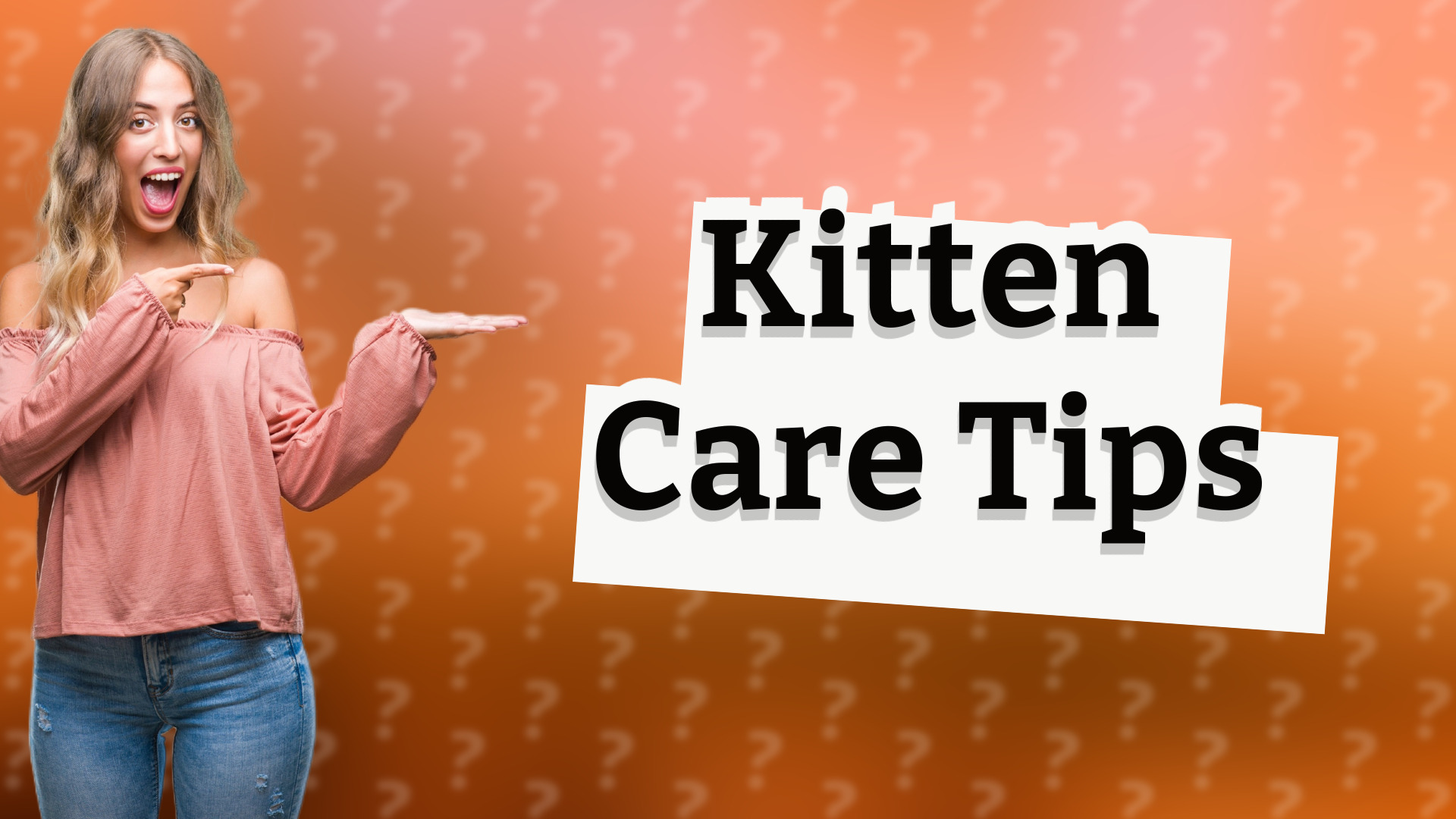 Kitten Care Tips