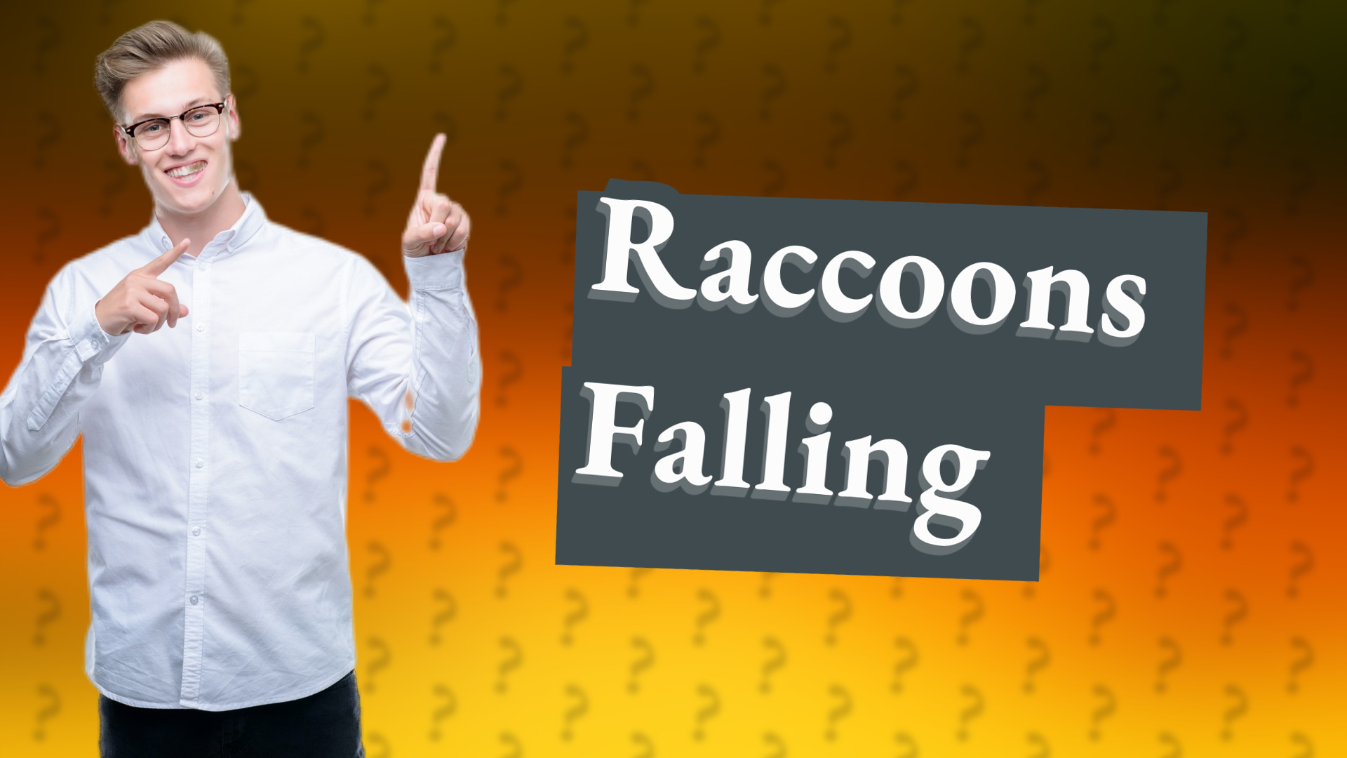 Raccoons Falling