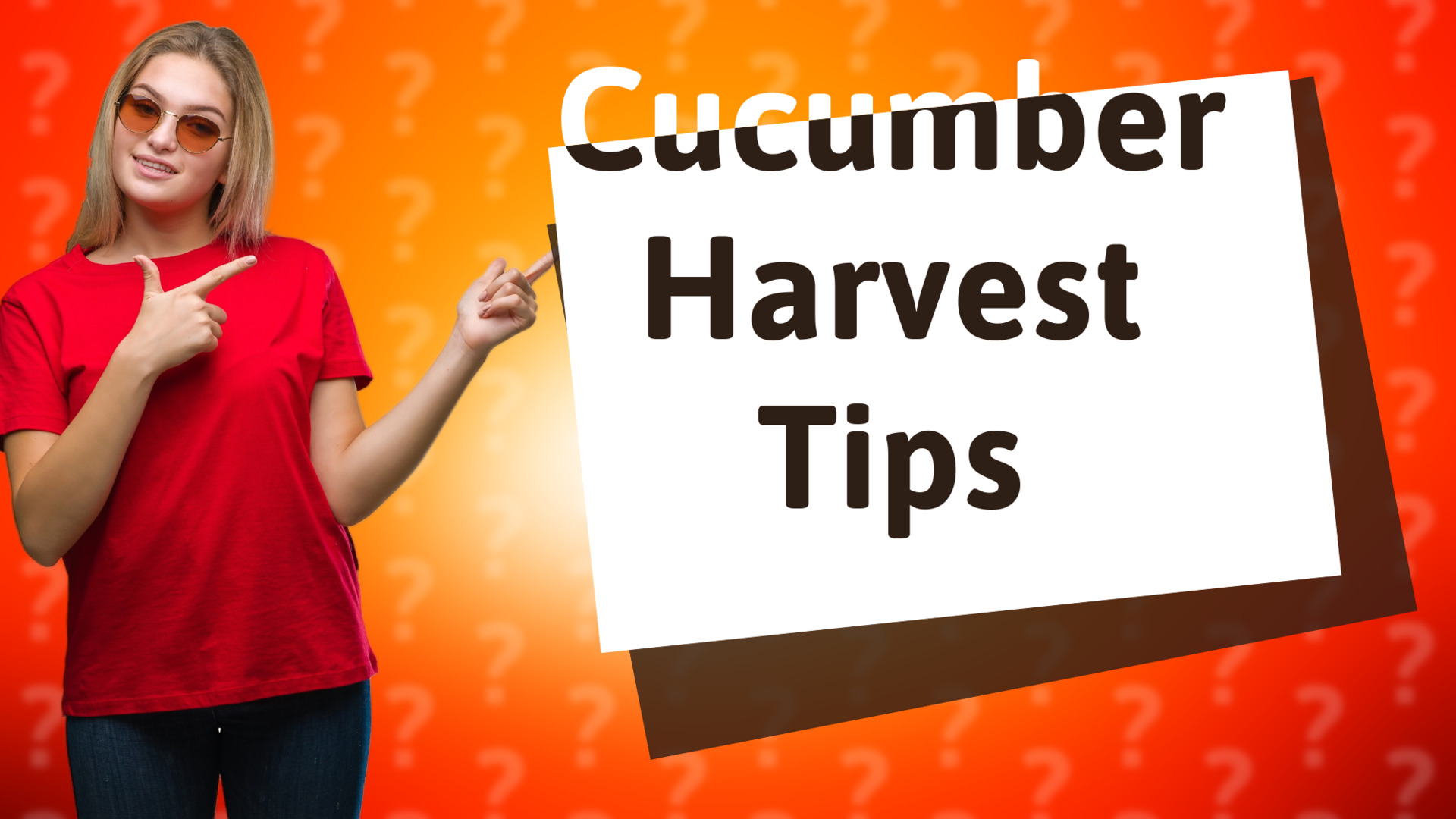 Cucumber Harvest Tips