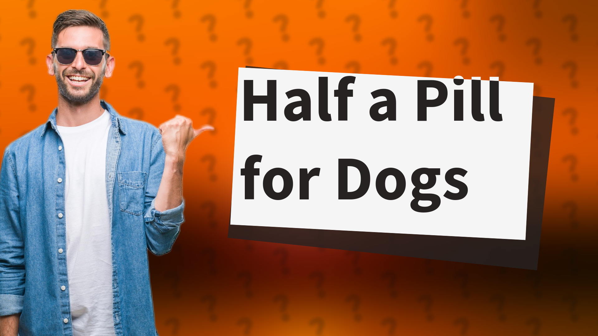 Half a Pill for Dogs