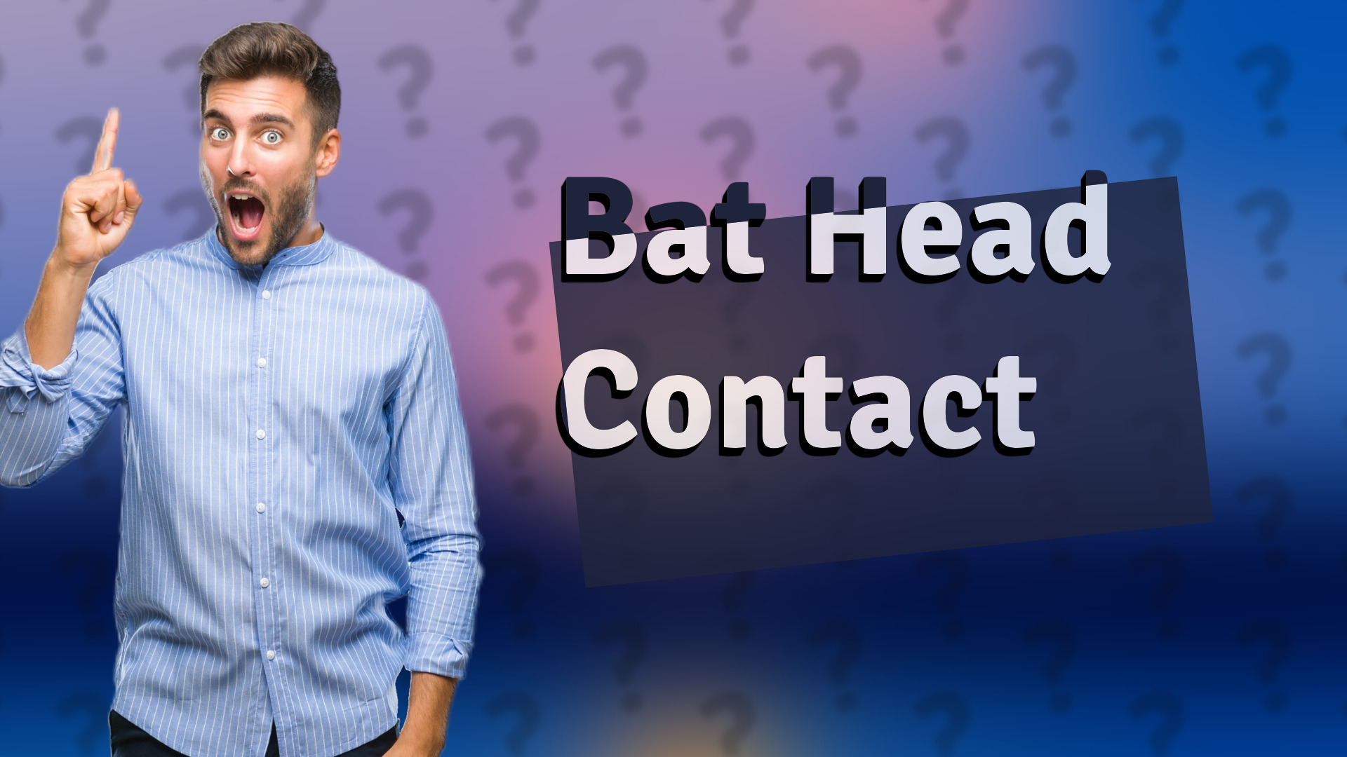 Bat Head Contact
