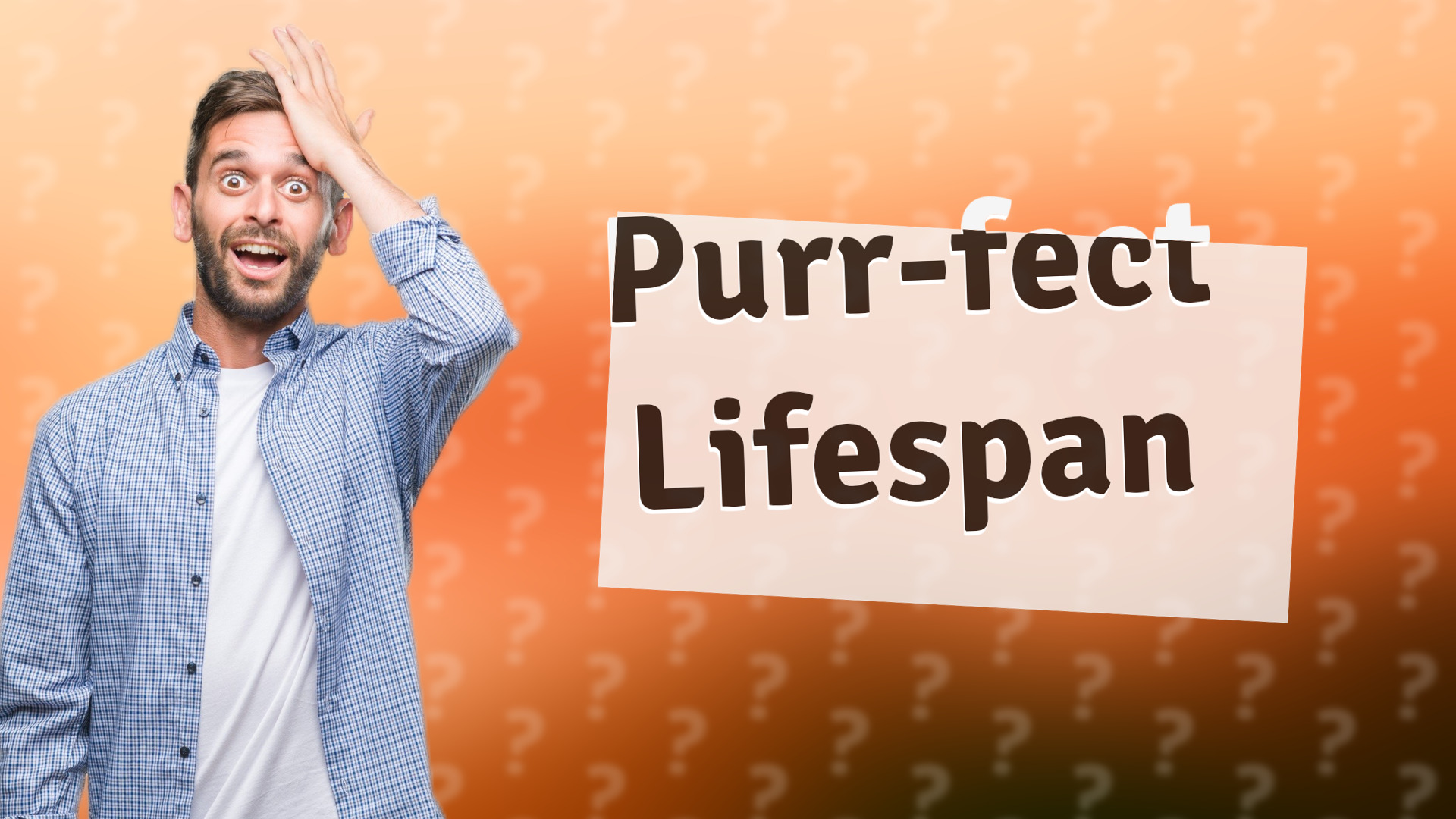 Purr-fect Lifespan