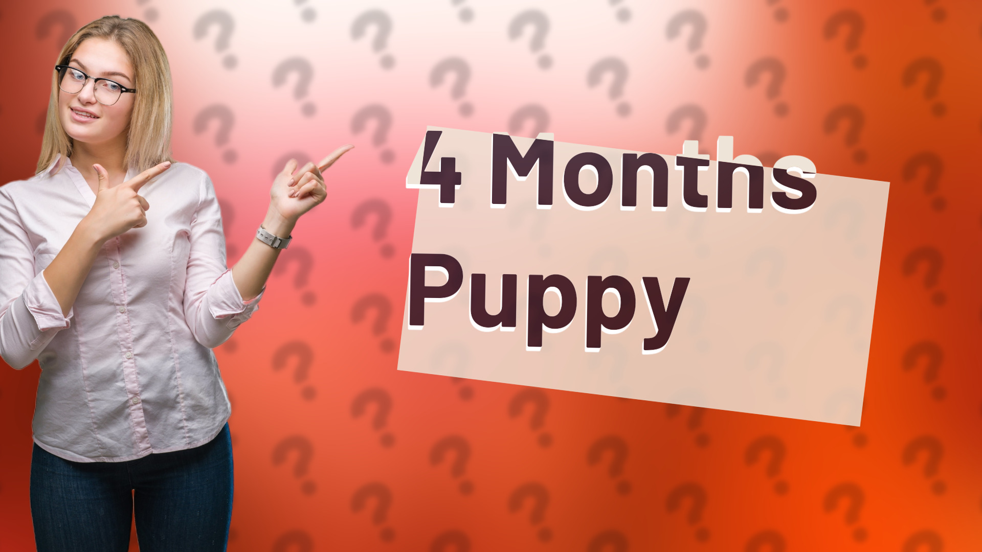 4 Months Puppy