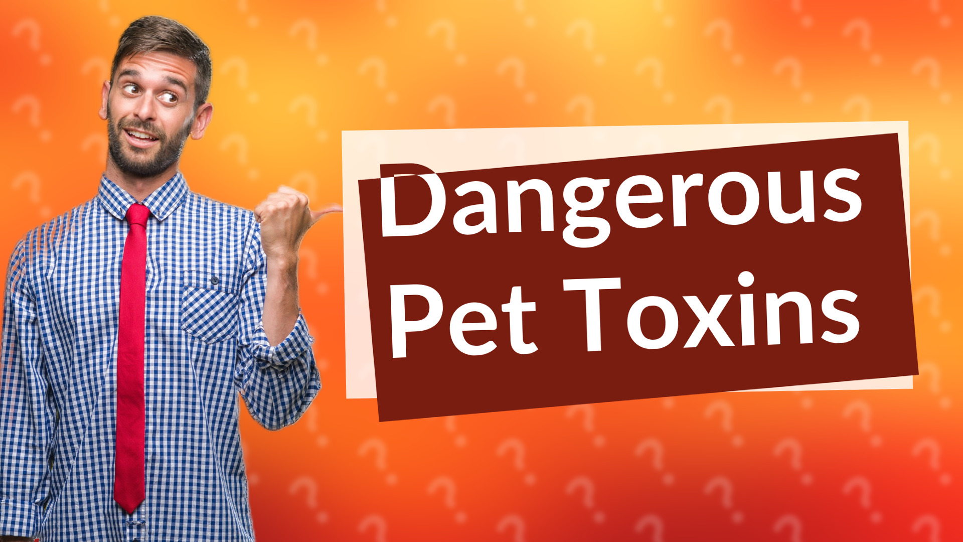 Dangerous Pet Toxins