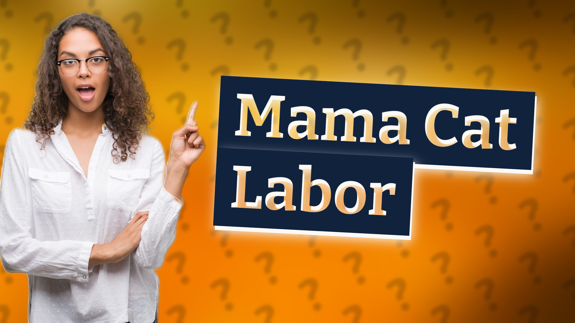 Mama Cat Labor