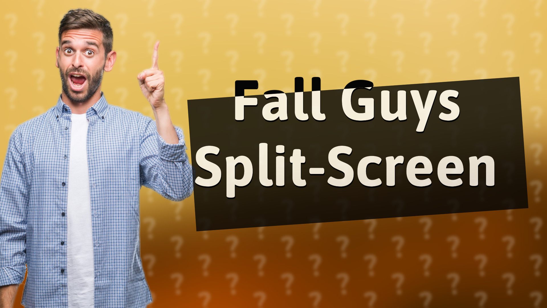 Fall Guys Split-Screen