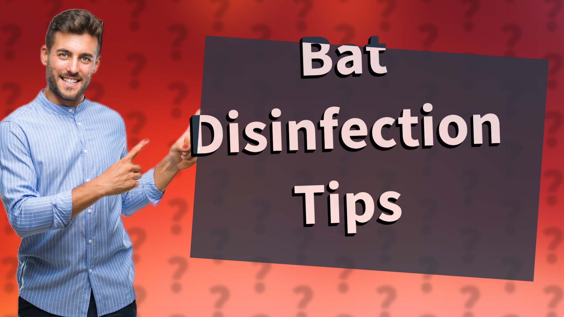 Bat Disinfection Tips