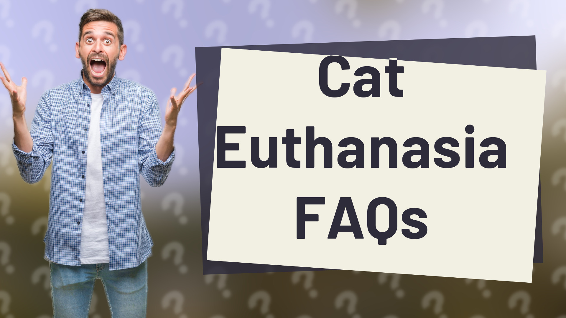 Cat Euthanasia FAQs