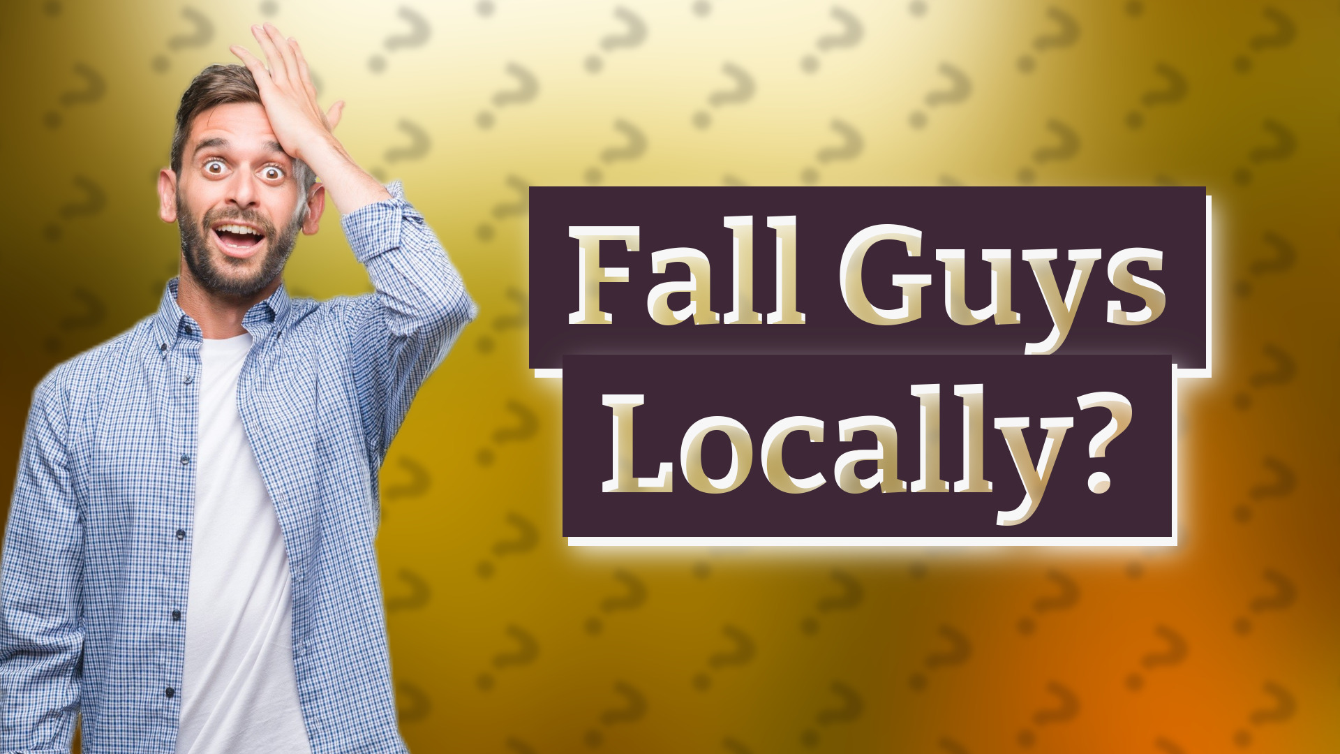 Fall Guys Locally?