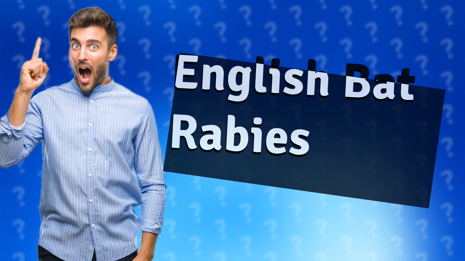 English Bat Rabies