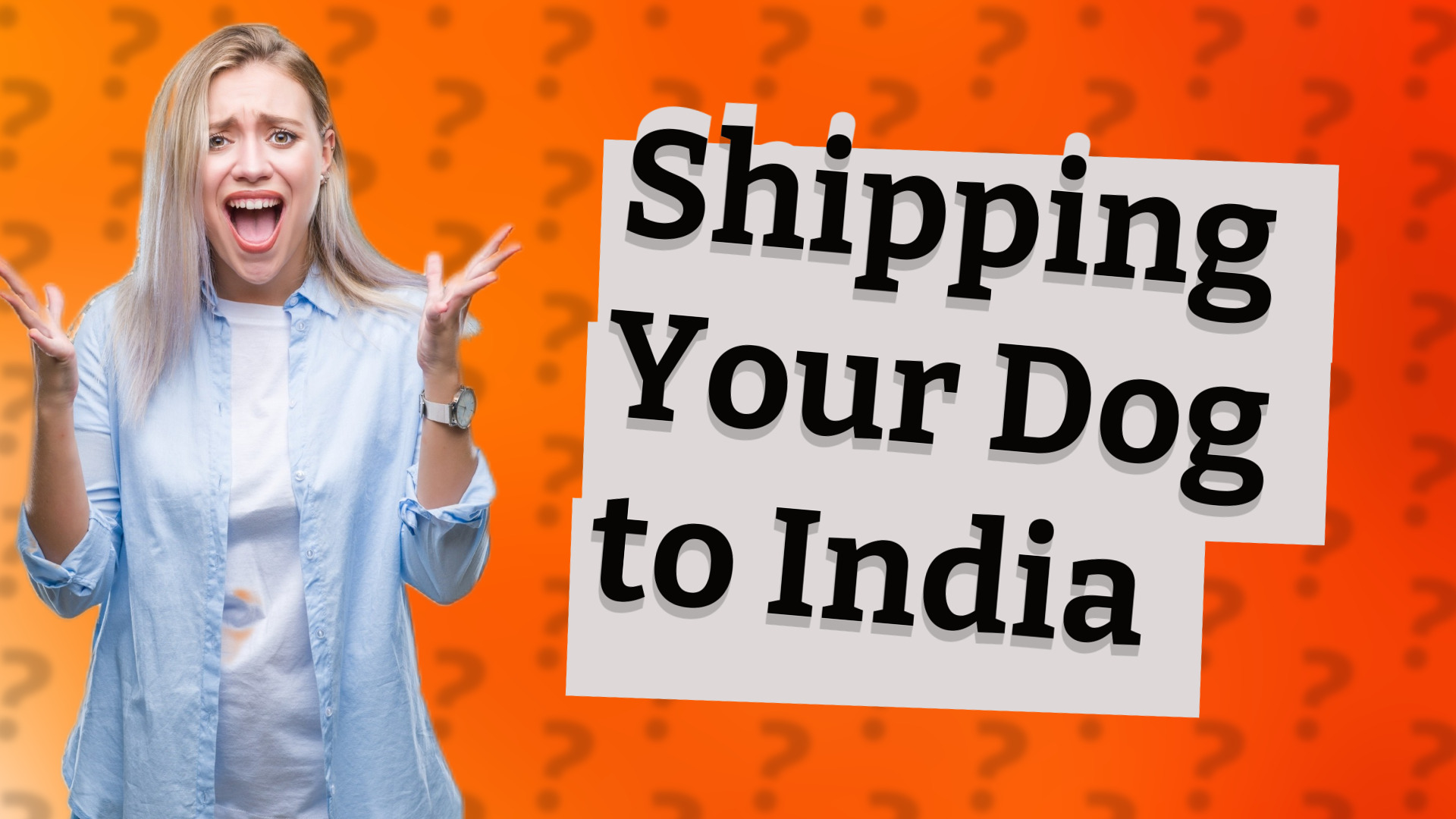 Shipping Your Dog to India