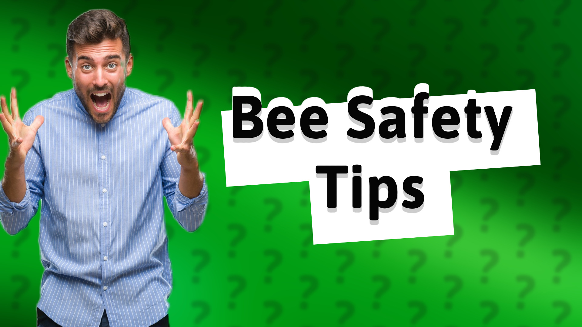 Bee Safety Tips