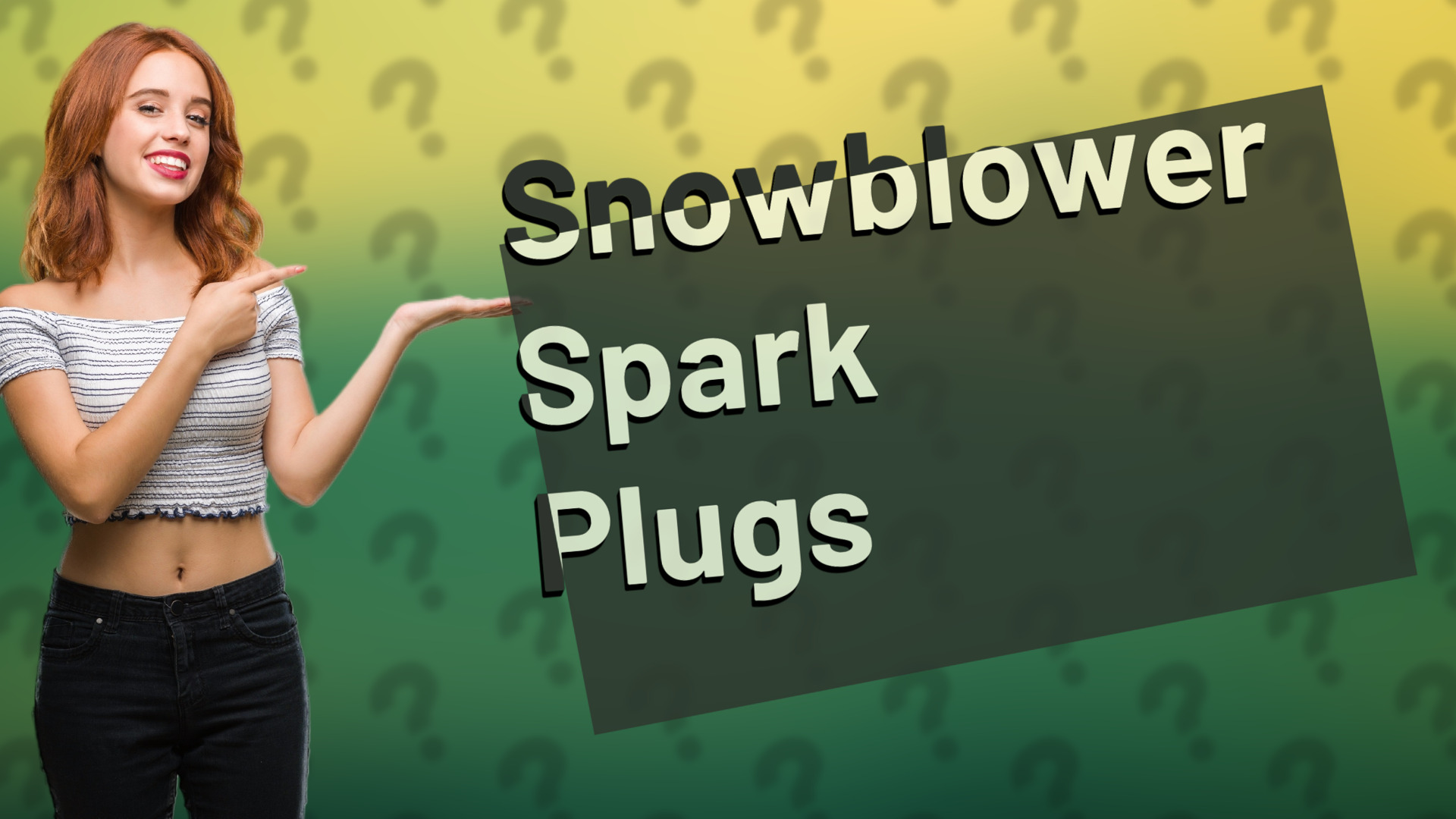 Snowblower Spark Plugs
