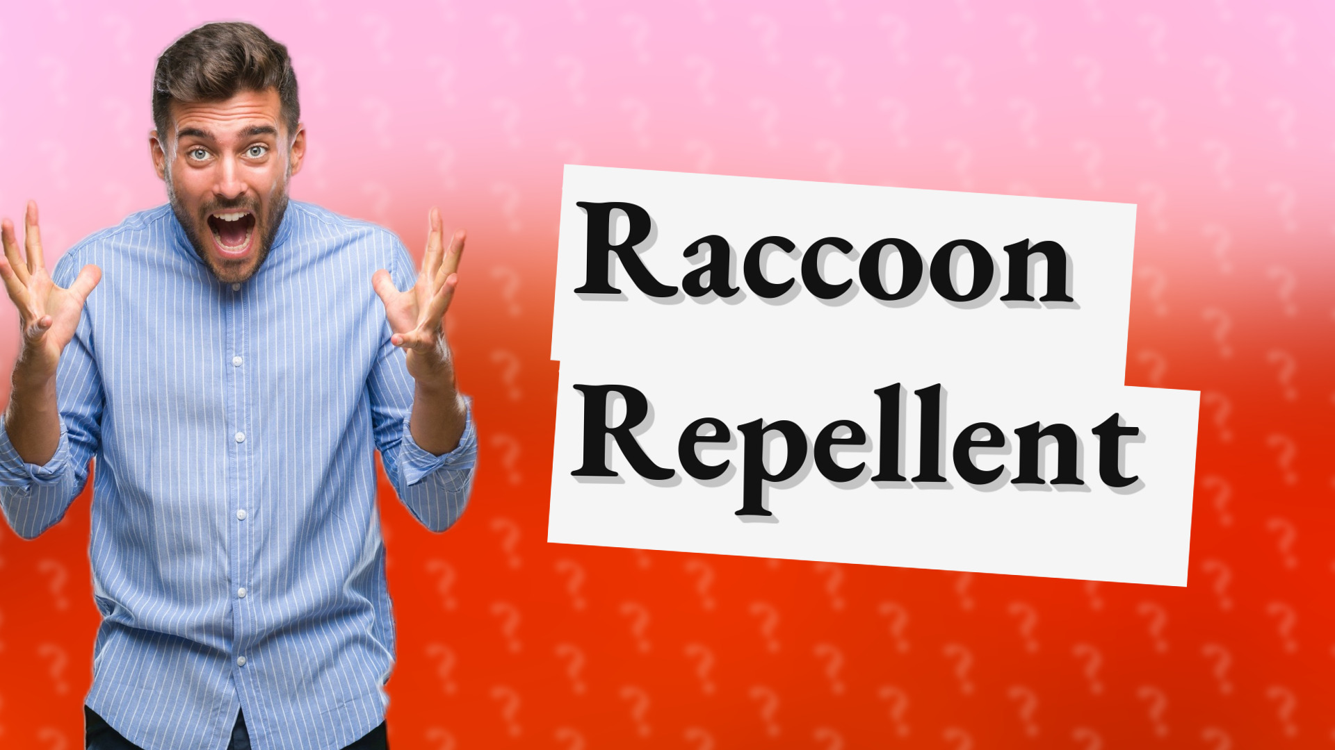 Raccoon Repellent