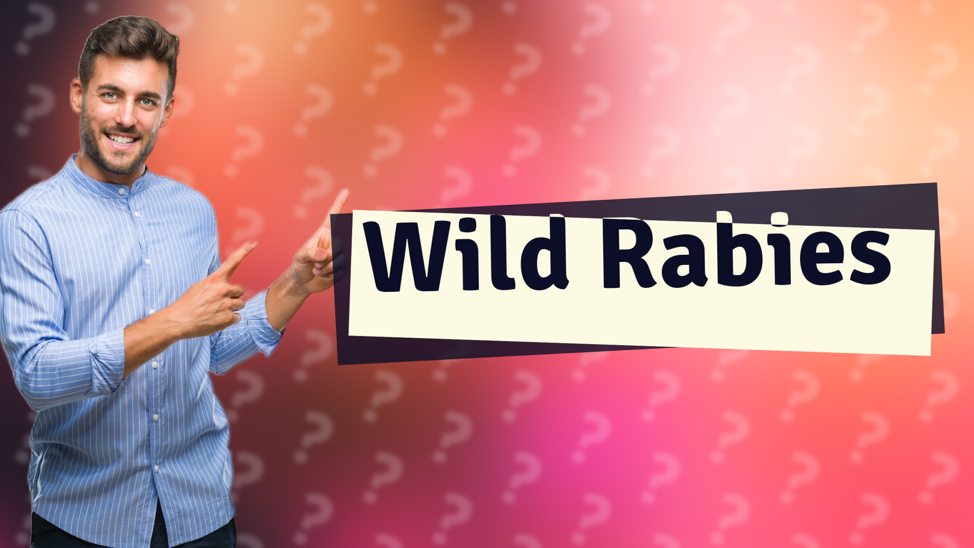 Wild Rabies