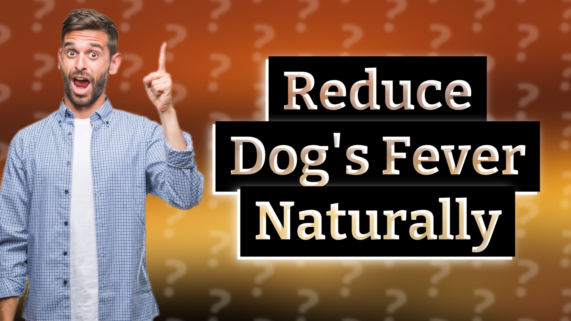 Reduce Dog's Fever Naturally