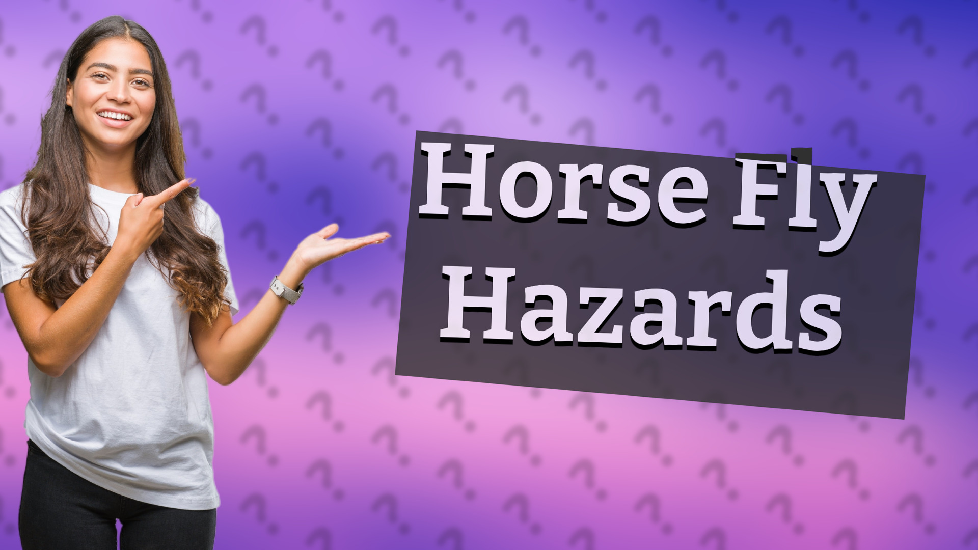 Horse Fly Hazards