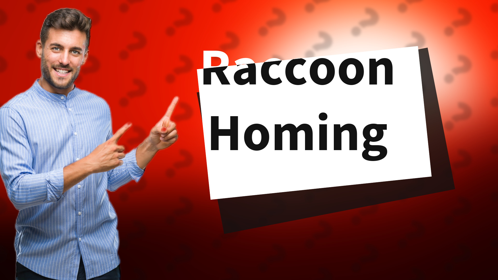 Raccoon Homing