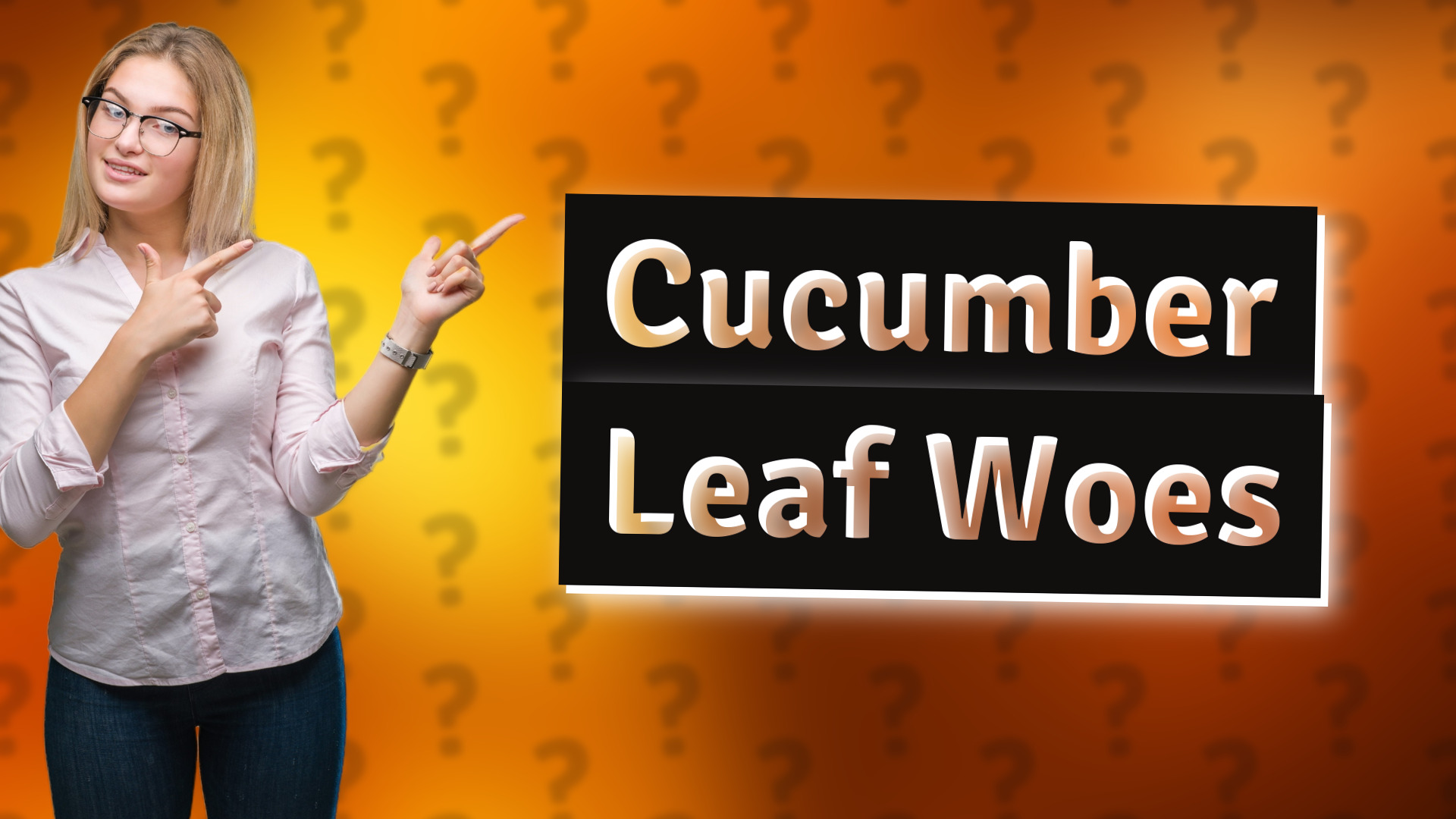 Cucumber Leaf Woes