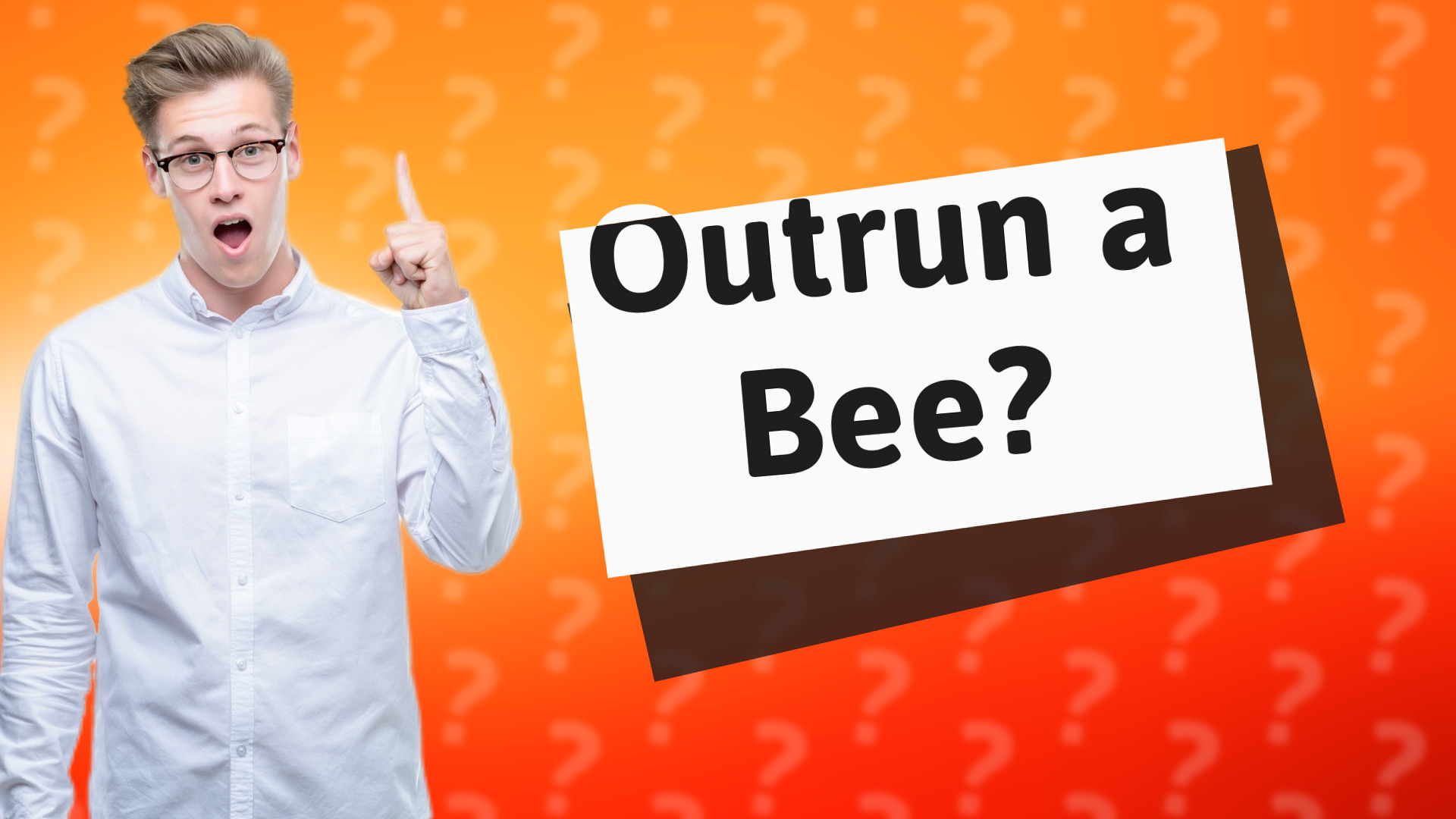 Outrun a Bee?