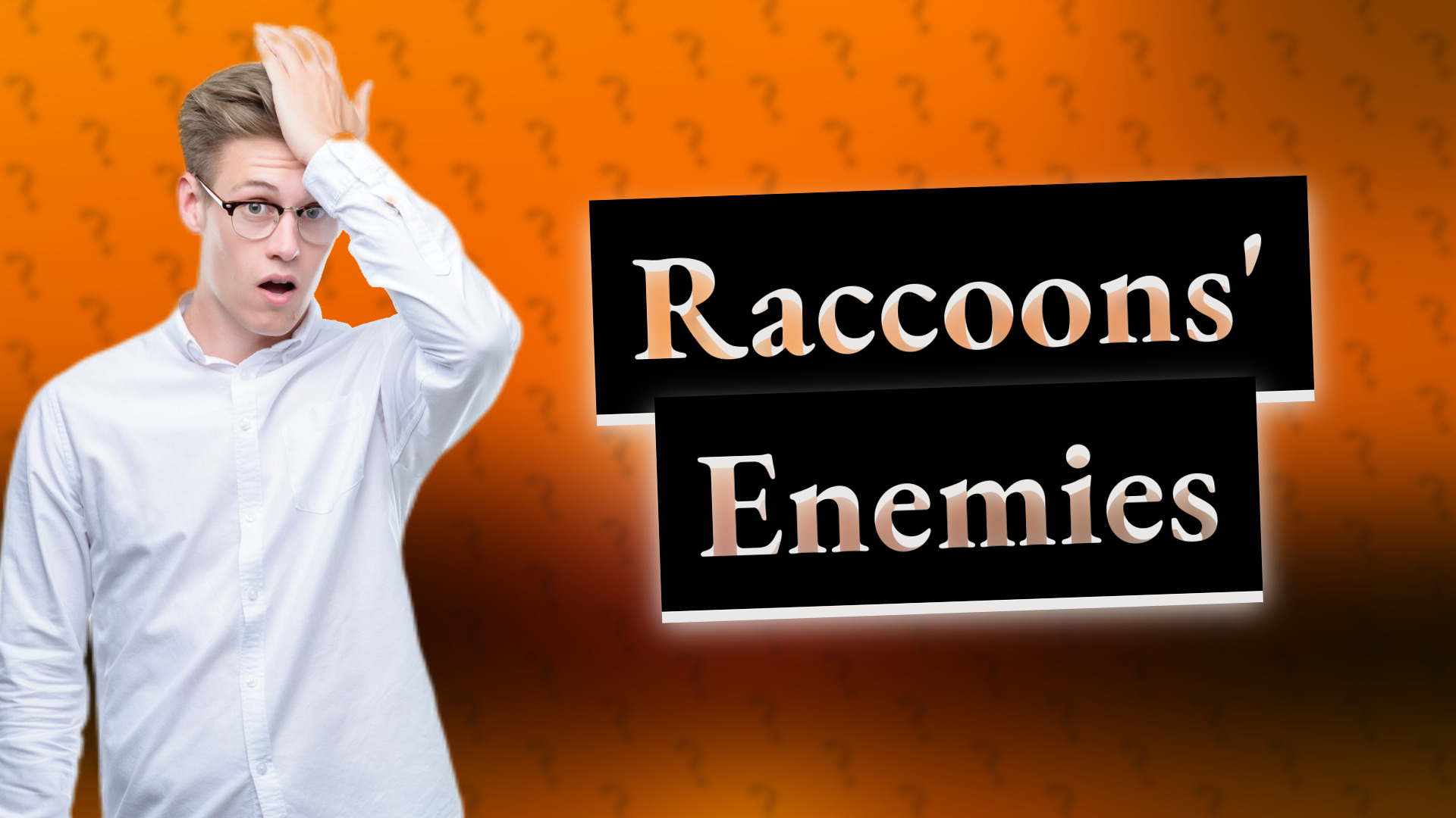 Raccoons' Enemies