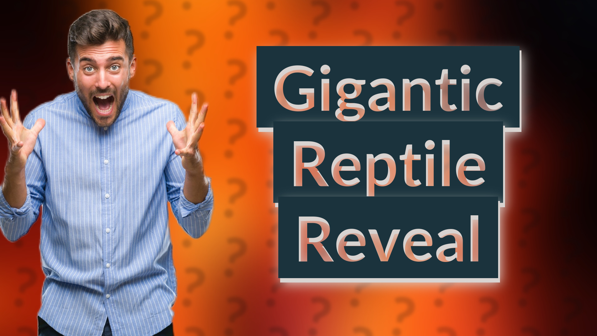 Gigantic Reptile Reveal