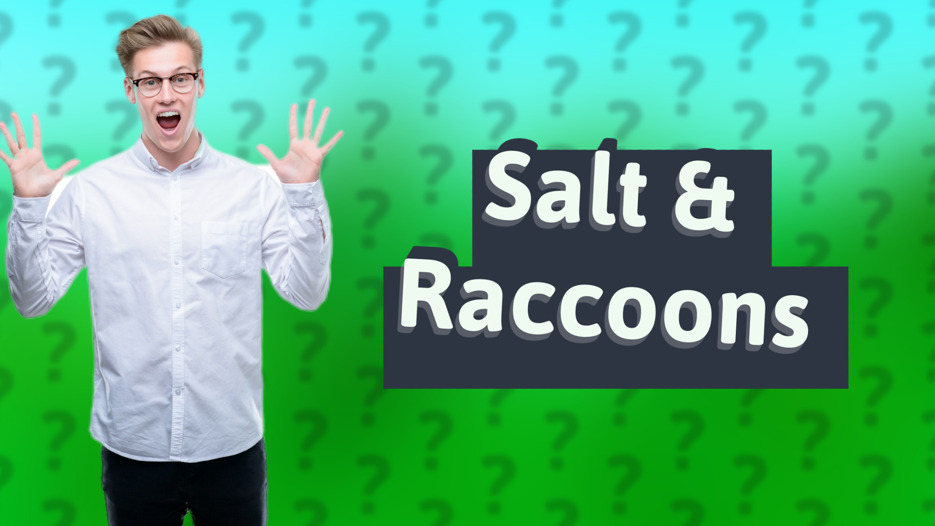 Salt & Raccoons