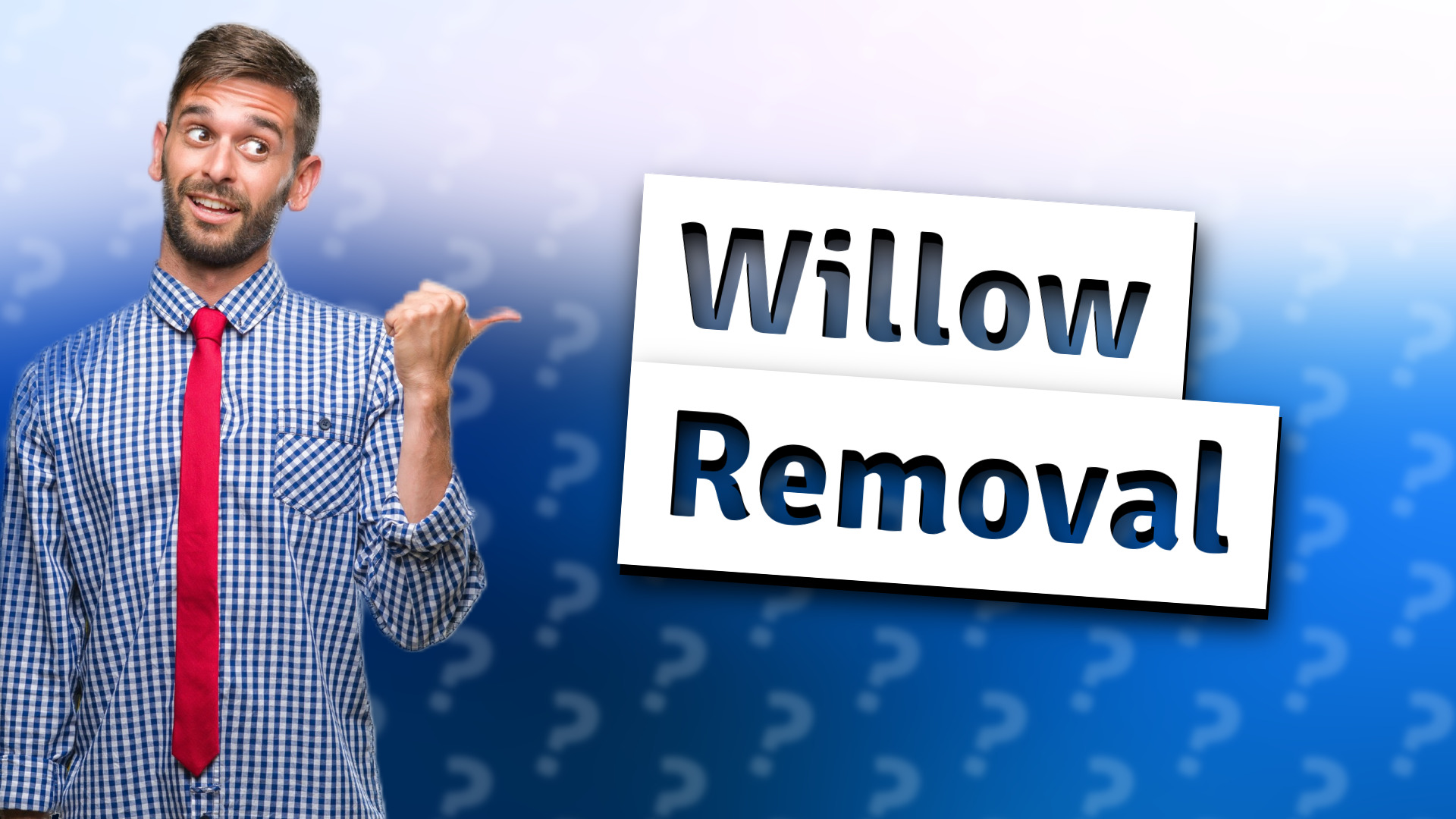Willow Removal