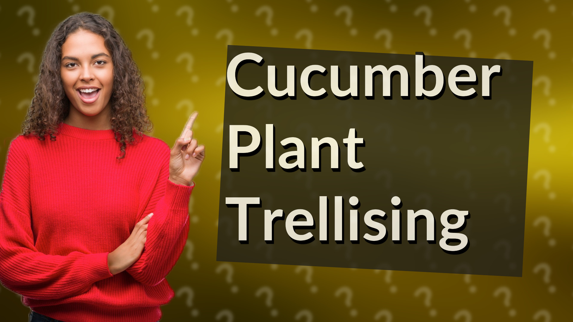 Cucumber Plant Trellising
