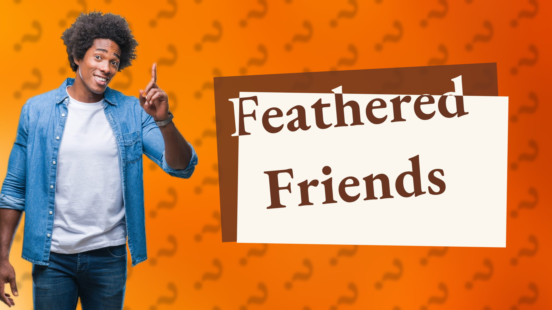 Feathered Friends
