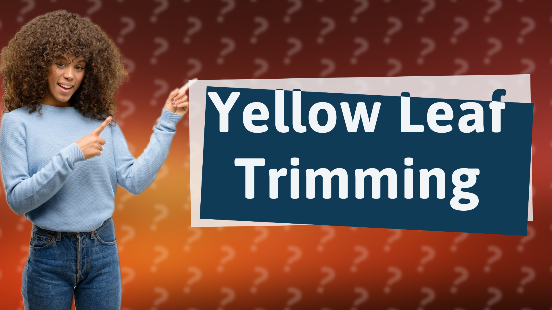 Yellow Leaf Trimming