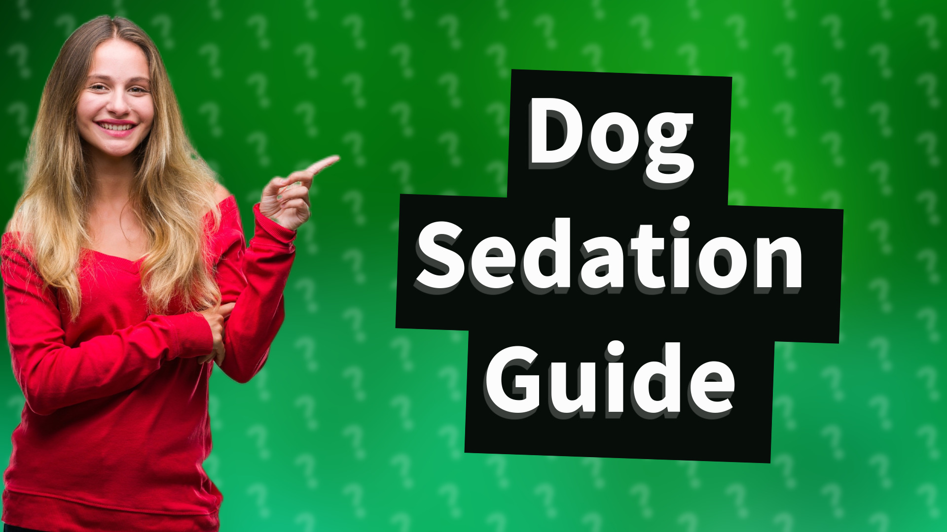 Dog Sedation Guide