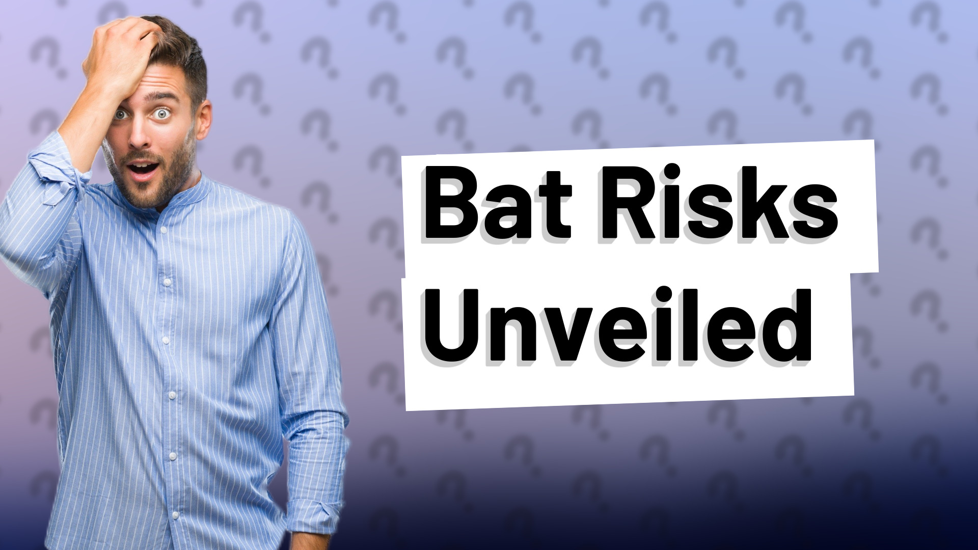 Bat Risks Unveiled
