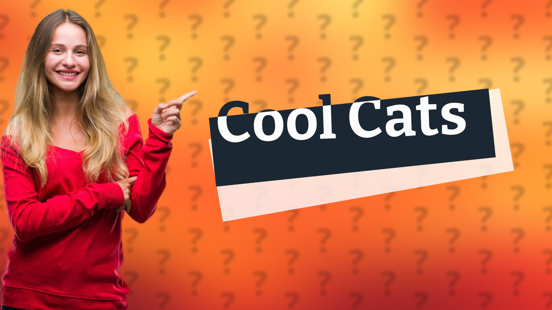 Cool Cats