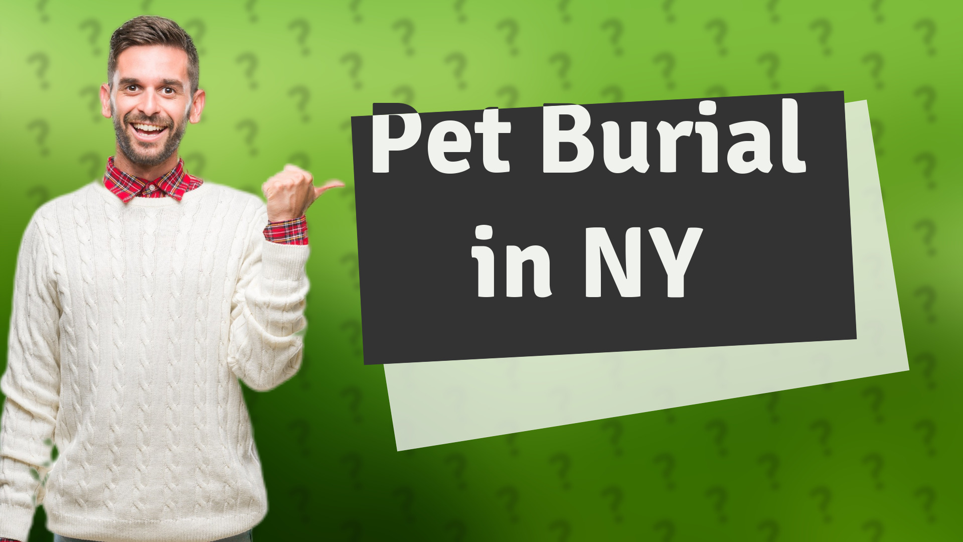 Pet Burial in NY
