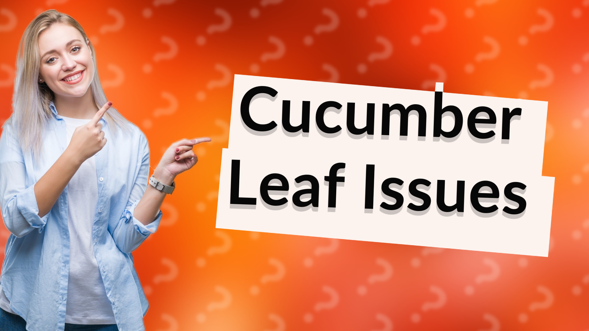 Cucumber Leaf Issues