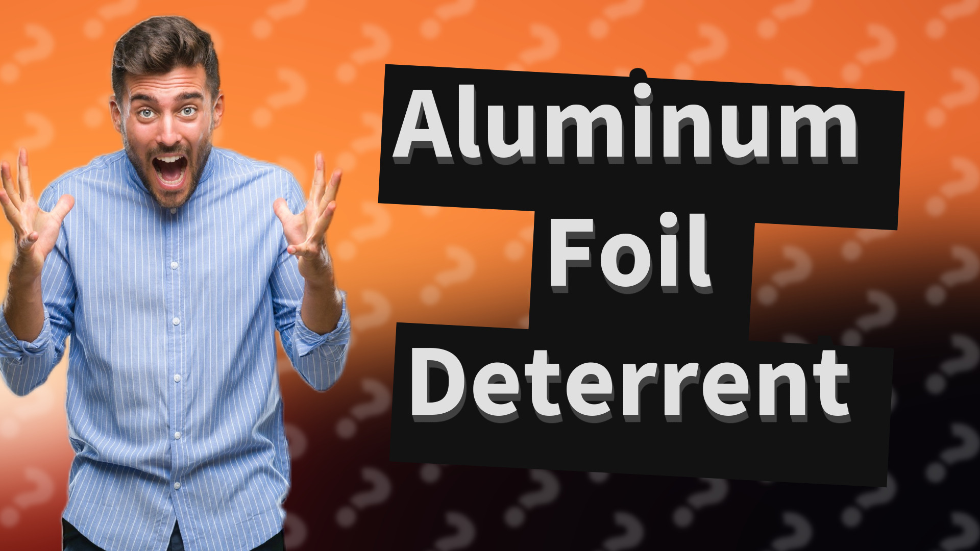Aluminum Foil Deterrent