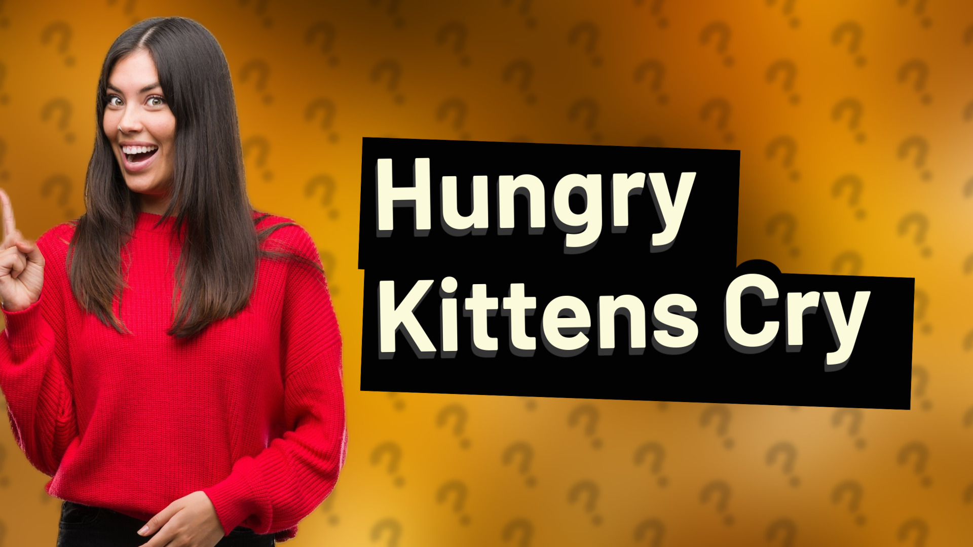 Hungry Kittens Cry