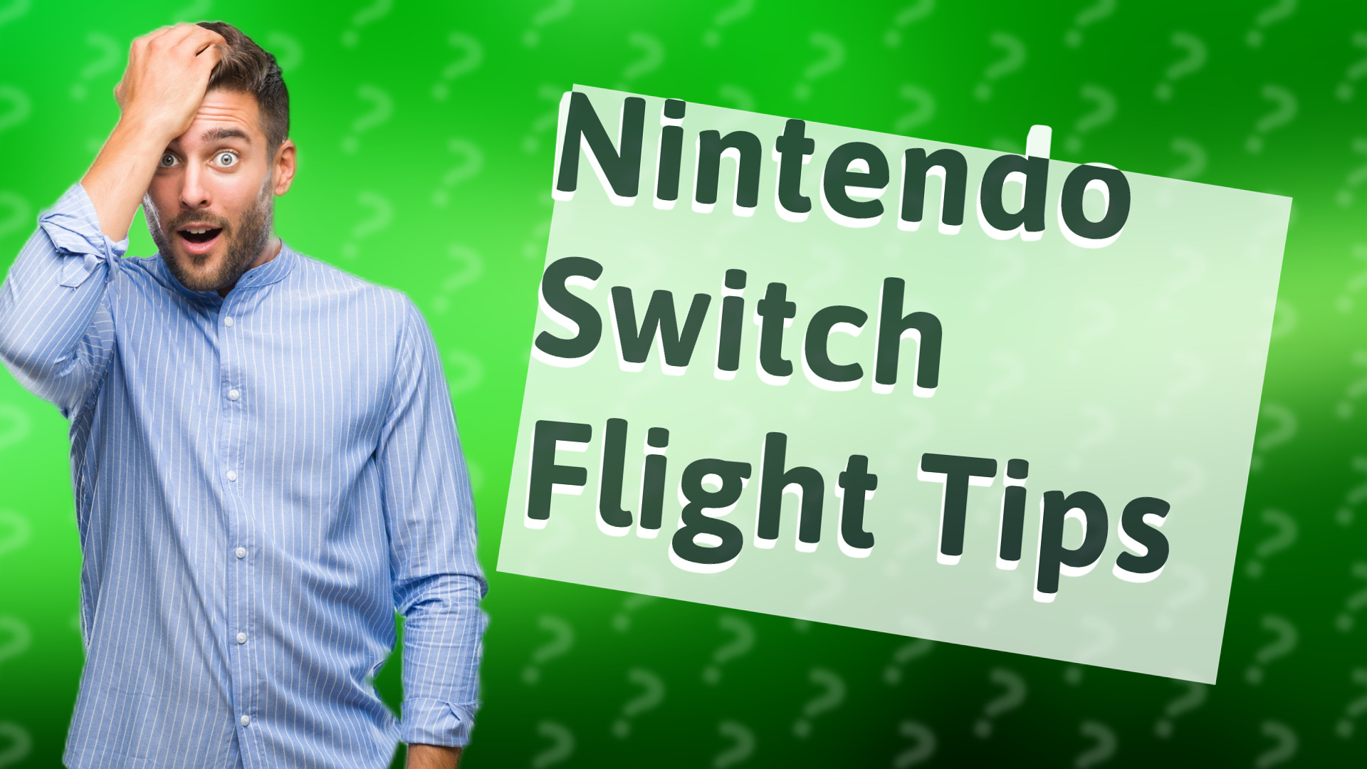 Nintendo Switch Flight Tips