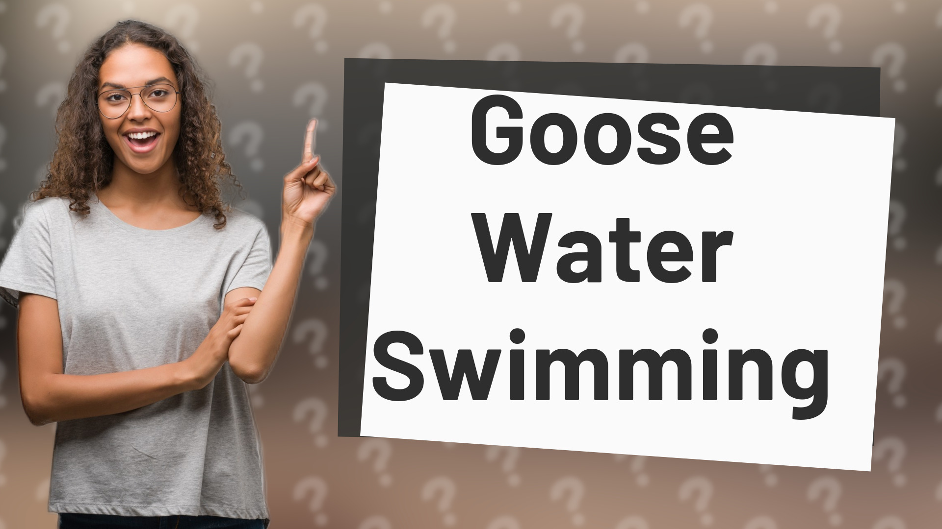 Goose Water Swimming
