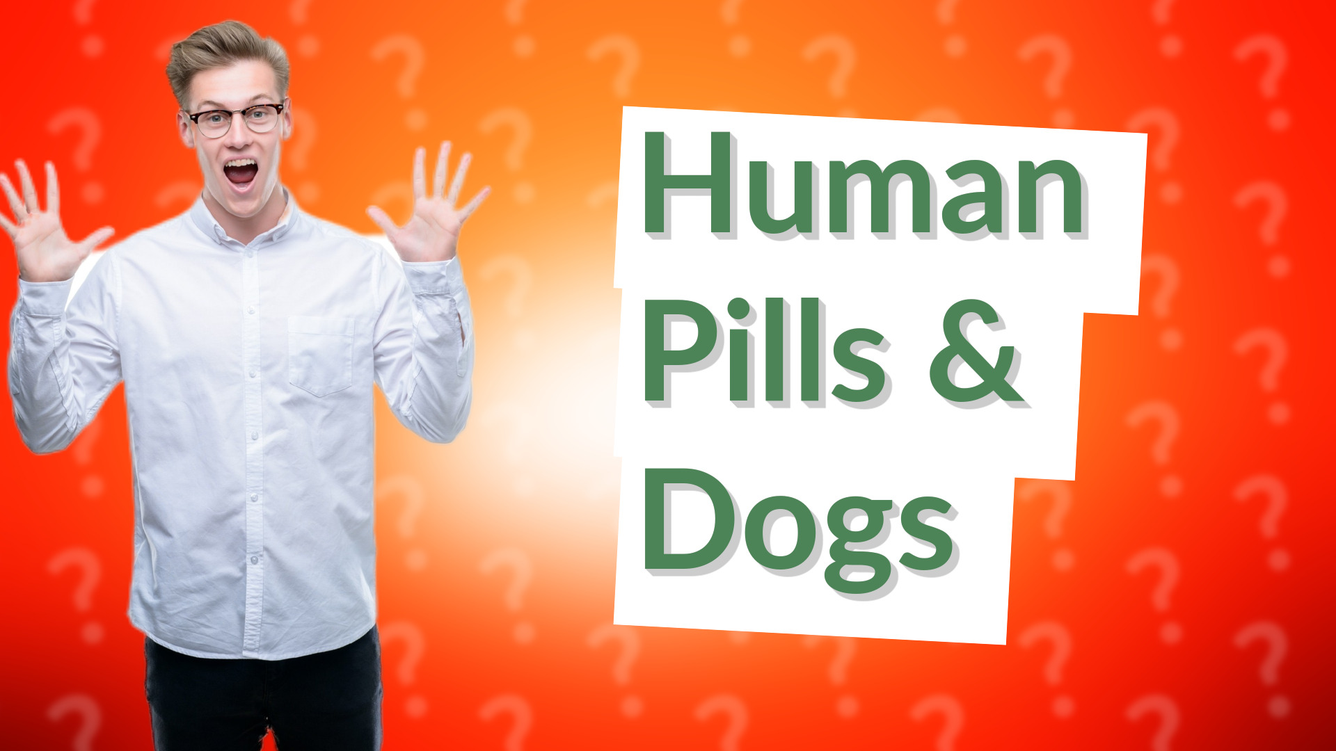Human Pills & Dogs
