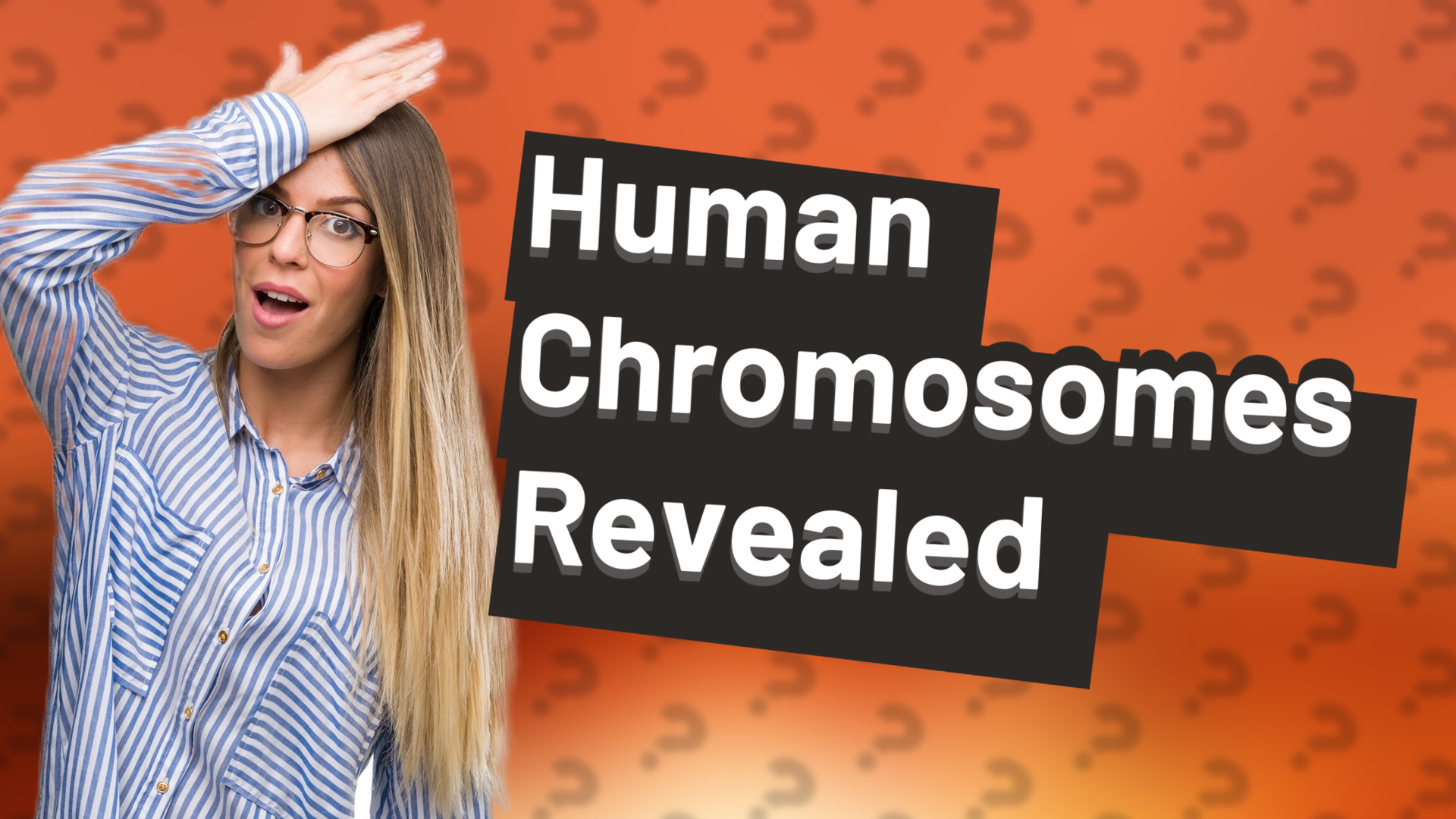 Human Chromosomes Revealed
